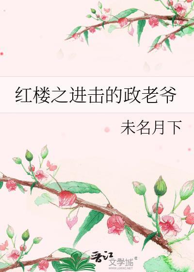 红楼之贾正