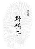 野鸽子汤有什么好处