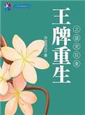 王牌s