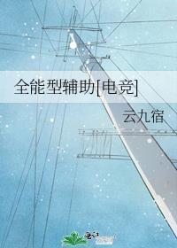 全能选手辅助有哪些英雄才算