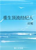 重生娱乐圈当经纪人