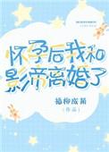 我怀孕后与影帝离婚了