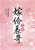嫁给表哥之后 讲的什么故事