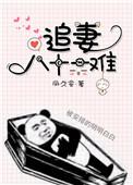 追妻全文阅读