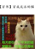 穿成反派的猫剧透