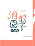 酒酿圆子好甜呀全文免费阅读
