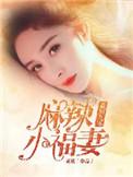 重丢九零麻辣小医嫂