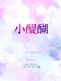 小醍醐TXT资源