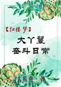 红楼大丫鬟奋斗日常