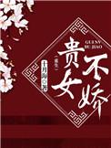贵女不愁嫁番外