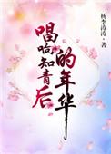 唱响知青后的年华无盗版