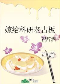 嫁给科研老古板沉溺心动