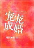 宠宠成婚 作者周沅