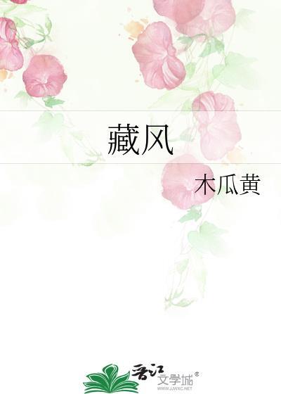 藏风简介