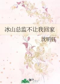 冰山总裁的超级高手简介