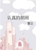 认真的胡闹完整