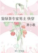 鉴绿茶专家男主txt
