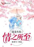 陆先生的情之所至笔趣阁