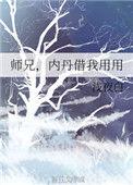 师兄内丹借我用用电视