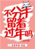 不分手留着过年吗番外