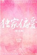 独家偏爱讲的什么
