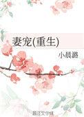 妻宠重生全文免费阅读