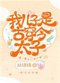 我儿子是古穿今太子书包网