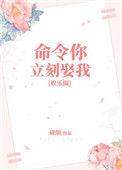 命令你是什么意思