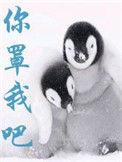 你罩我吧晋江