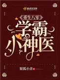 重生80学霸小军嫂