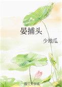 晏捕头TXT