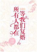 所有人都在等我们复婚简介