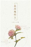 追玫瑰的人莲子百合糖晋江