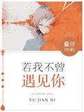 若我不曾见过太阳歌曲完整版