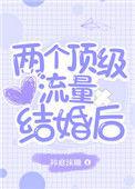 两个顶级流量结婚后 txt