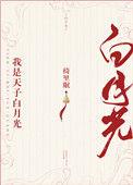 我是天子一小民
