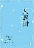 风起时我在等你免费阅读