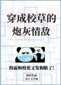 穿成校草的炮灰情敌txt资源