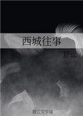 西城往事沈适陈迦南
