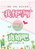 我怀孕所以我们离婚吧