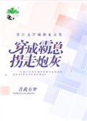 穿成霸总拐走炮灰简介