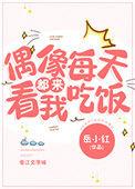 偶像一直都在作文