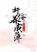 佞臣养成簿正版