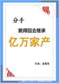 分手就得回去继承亿万家产番外 诸葛锦