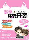 强魅惑装备