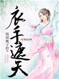 衣手遮天 免费阅读