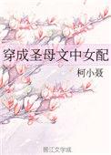 穿成圣母文中女配txt盘搜搜