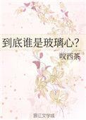 到底谁是玻璃心初吻在哪一章