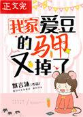 我家爱豆的马甲又掉了免费阅读