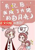 失忆后我成了大佬的白月光 作者诗换花